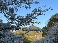 -杭州少年儿童公园