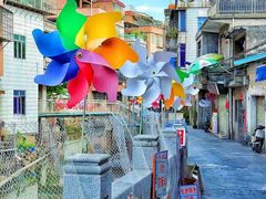 -长洲岛