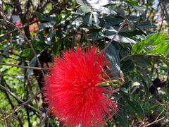 -优游吧斯邹族文化部落