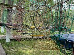 -合肥滨湖国家森林公园