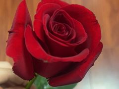 -一棠龙虾•王牌虾球(光谷天地店)