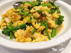 菠菜鸡蛋-东营蓝海御华大饭店渔歌舫(潍河路店)