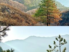 -萍乡武功山风景名胜区