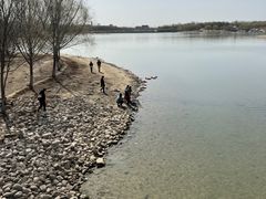 -大兴滨河森林公园