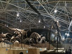 -世界恐龙谷景区