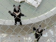 -石家庄市动物园