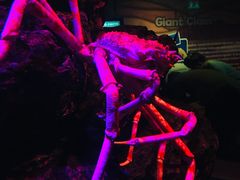 -暹罗海洋世界