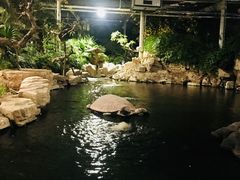 -龙达温泉生态城