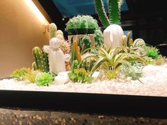 -大树餐厅(红旗街万达店)