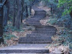 -西湖风景区十里琅珰-五云山