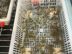 -毛哥小馆子(百井坊巷店)