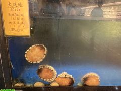 -鹏天阁酒楼·海鲜(红旗店)
