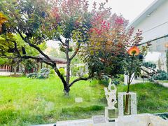 -九献创意菜(亮马河花园店)