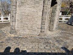 -上海佘山国家森林公园天马山园