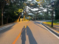 -棒棰岛宾馆景区