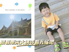 -西双版纳勐泐文化旅游区