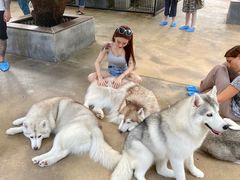 -TrueLove @ Neverland (Husky Cafe)