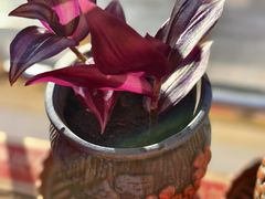 -7号院家宴.烧鸽子(门头沟店)