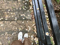 -三亚亚龙湾人间天堂鸟巢度假村