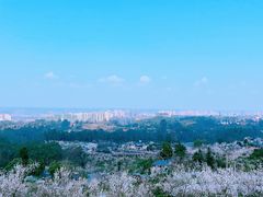 -樱桃山旅游景区