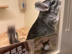 -龙猫仔乐园(惠福东路店)