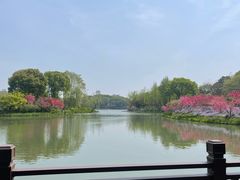 -圩墩遗址公园
