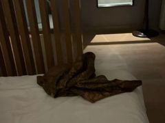 -钓鱼岛洗浴休闲会馆(卫星路店)