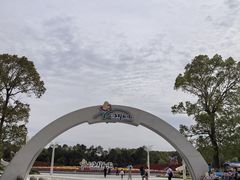 -上海鲜花港