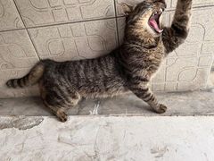 -川湘小厨(江场西路店)