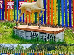 -王莽岭风景区