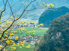 -万峰林风景区
