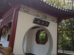 -南汇桃花村