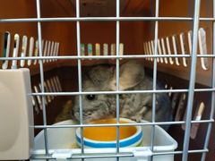 -龙猫仔乐园(惠福东路店)