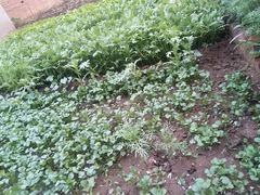 -荣德灶台鱼(圣泉寺店)