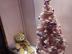 -FAELING PETS美天灵宠物(富力广场店)