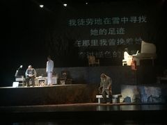 -合肥大剧院
