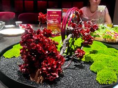 -正禾鲜·潮汕牛肉火锅(凯德天府店)