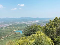 -龙坞茶村