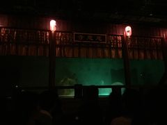 -郑州方特梦幻王国