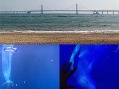 -大连圣亚海洋世界