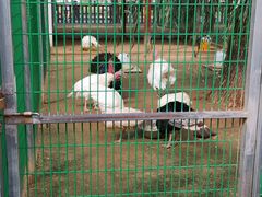 -羊亭河湿地公园