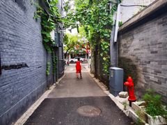 -百花深处胡同