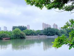 -青枫公园