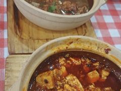 -邵年鸽(杨庄店)