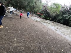 -南宁良凤江国家森林公园