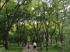 -玲珑塔公园