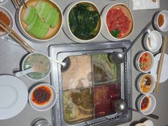-海底捞火锅(太阳宫凯德mall店)