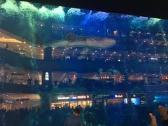 -成都浩海立方海洋公园