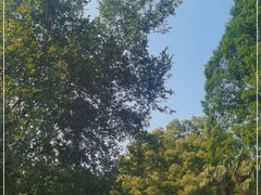 -东坡赤壁风景名胜区