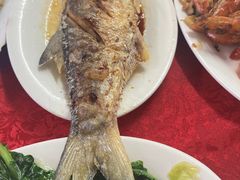 -蛇口康乐快餐鱼仔档(翠苑小区店)